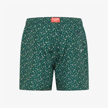 Verde Scuro